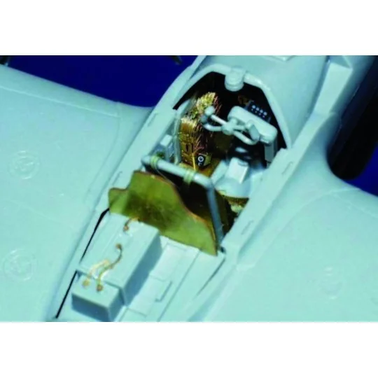 P-38J Lighting - Eduard Accessories FE208