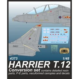 Harrier T.Mk.12 Conversion set - CMK 129-4373