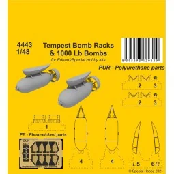 Tempest Bomb Racks & 1000 Lb Bombs - CMK 129-4443
