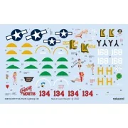 P-38J Pacific Lightning - Eduard Accessories D48103