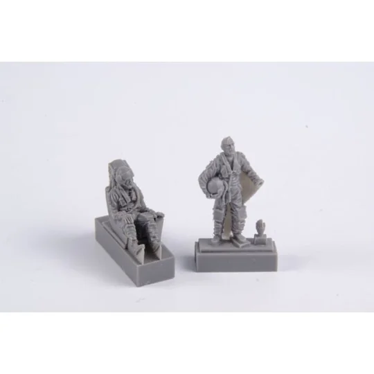 SK-37/SK-37E Viggen instruktor/Operator (sester in rear cockpit) an...