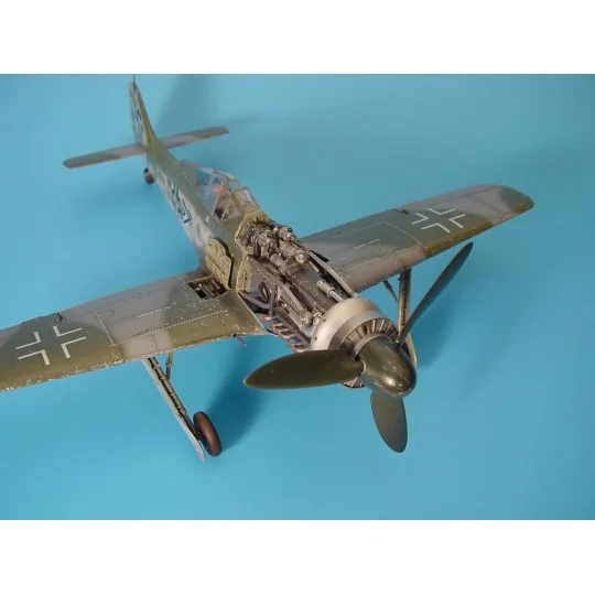 Focke-Wulf Fw 190D Motor Set und Bewaffnung - Aires 2019