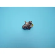 Wright R 1820 Cyclone, 1/48 - Aires 4166