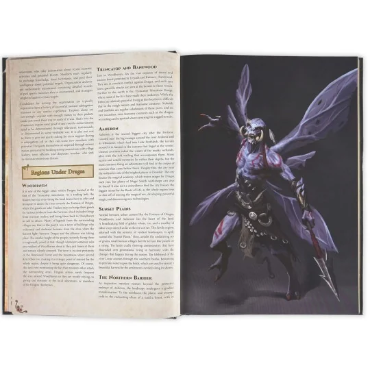 Dungeons & Lasers THE WORLD OF DEUSLAIR: RPG CAMPAIGN (hardcover) -...