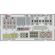 F-14A SPACE GREAT WALL HOBBY, 1/48 - Eduard Accessories 3DL48178