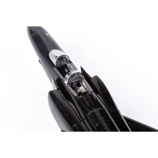F-4E 1/72 for FINE MOLDS, 1/72 - Eduard Accessories SS747