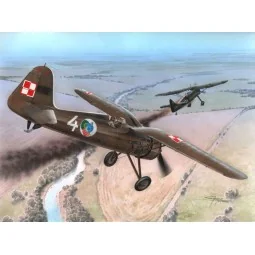 PZL P.11c "First Shots" - Azur 100-A112