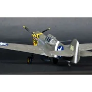 P-40E Aleutian Tiger START SET - Mistercraft SD-202