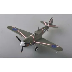 P-40M, 1/48 - Easy Model 39315