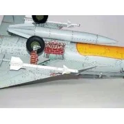 MiG-21 UM Test, 1/32 - Trumpeter 02219