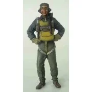 North American P-51 D Mustang IV - Trumpeter 02401