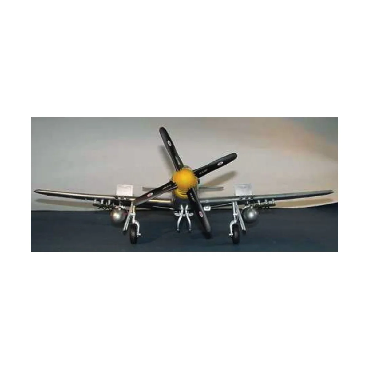 North American P-51 D Mustang IV, 1/24 - Trumpeter 02401