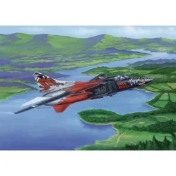 Russian MIG-23MF Flogger-B, 1/48 - Trumpeter 02854