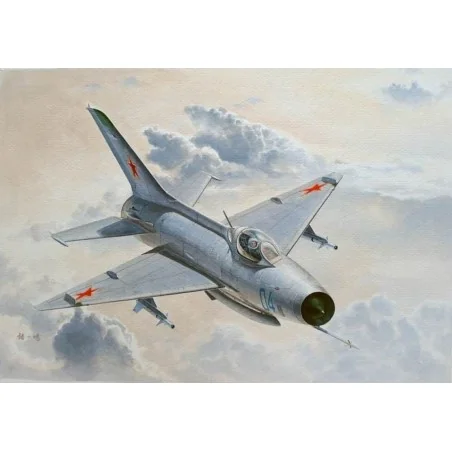 MiG-21 F-13/J-7 Fighter, 1/48 - Trumpeter 02858