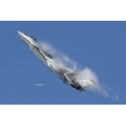 Chinese J-20 Mighty Dragon, 1/48 - Trumpeter 05811