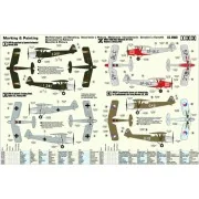 RWD-8 Magyar Recon - Mistercraft B-45