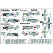 Fw-190A8R8 Sturmbock, 1/72 - Mistercraft C-06 Fw-190A8R8 Sturmbock, 1/72 - Mistercraft C-06