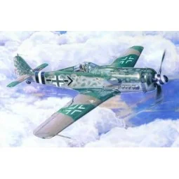 Fw-190D-9 Michaelski, 1/72 - Mistercraft C-09