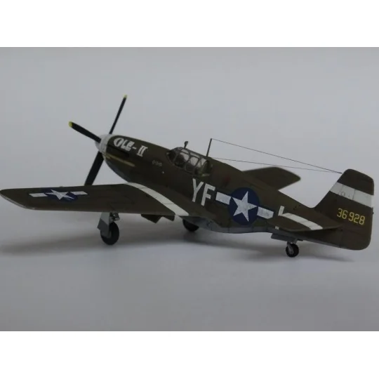 P-51 B-1 BullFrog I, 1/72 - Mistercraft C-46