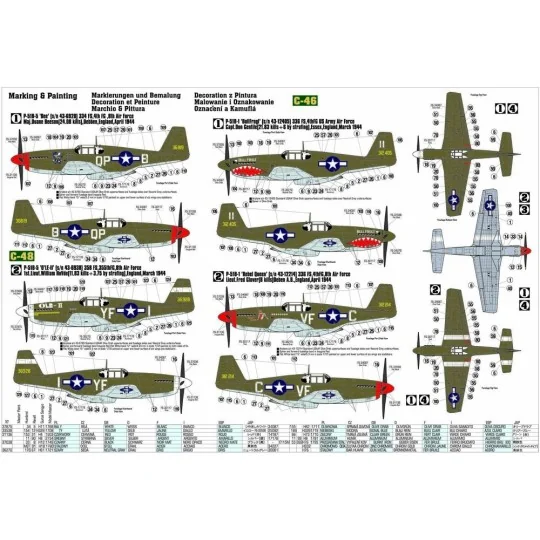 P-51 B-1 BullFrog I, 1/72 - Mistercraft C-46