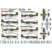P-51 B-1 BullFrog I, 1/72 - Mistercraft C-46