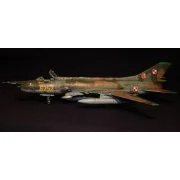 SU-20R Last Flight - Mistercraft D-13