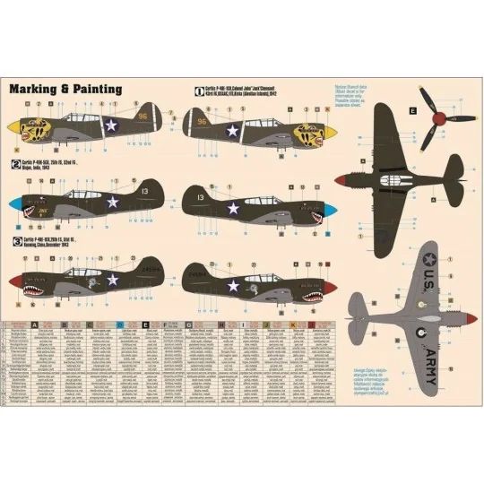 P-40E Aleutian Tiger, 1/72 - Mistercraft D-202