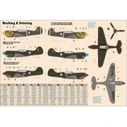 P-40E Aleutian Tiger, 1/72 - Mistercraft D-202