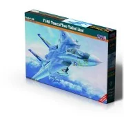 F-14A Tomcat "Two Tailed Lion, 1/48 - Mistercraft G-04