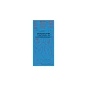 Porsche 911 RSR 2018 LM GTE Class Winner - NUNU-BEEMAX PN24040