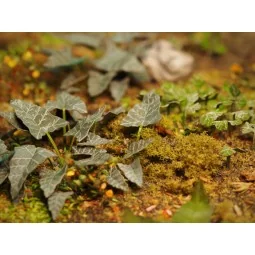 Plants & Weeds E - Matho Models 35039