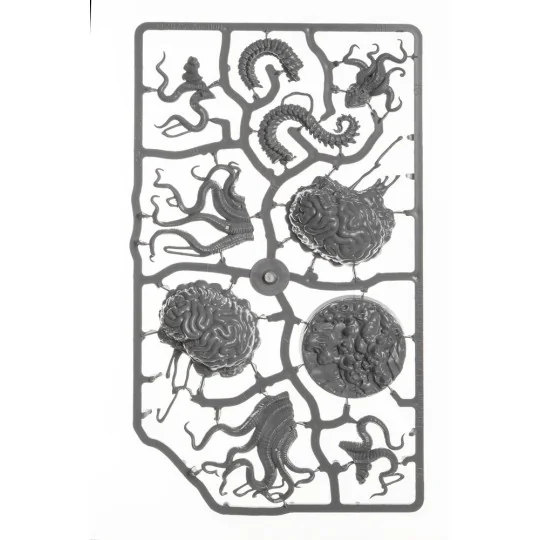 Ancient Brain - Archon Studio DNL0140