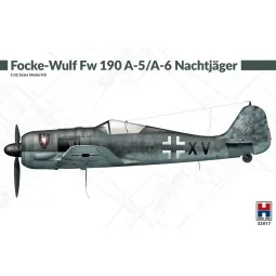 Focke-Wulf Fw 190 A-5/A-6 Nachtjager, 1/32 - Hobby 2000 H2K32017