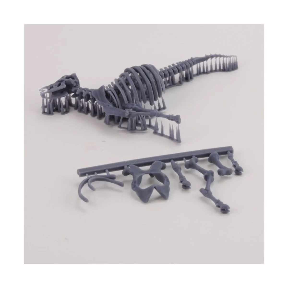 Cow skeleton n.3, 1/35 - Royal Model RM1048