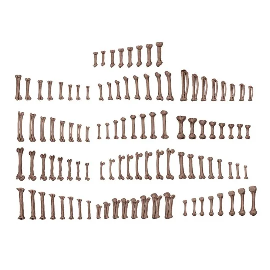 HUMAN BONES - BASING BITS 120 pieces - AK Interactive AKBIT0013 HUMAN BONES - BASING BITS 120 pieces - AK Interactive AKBIT0013