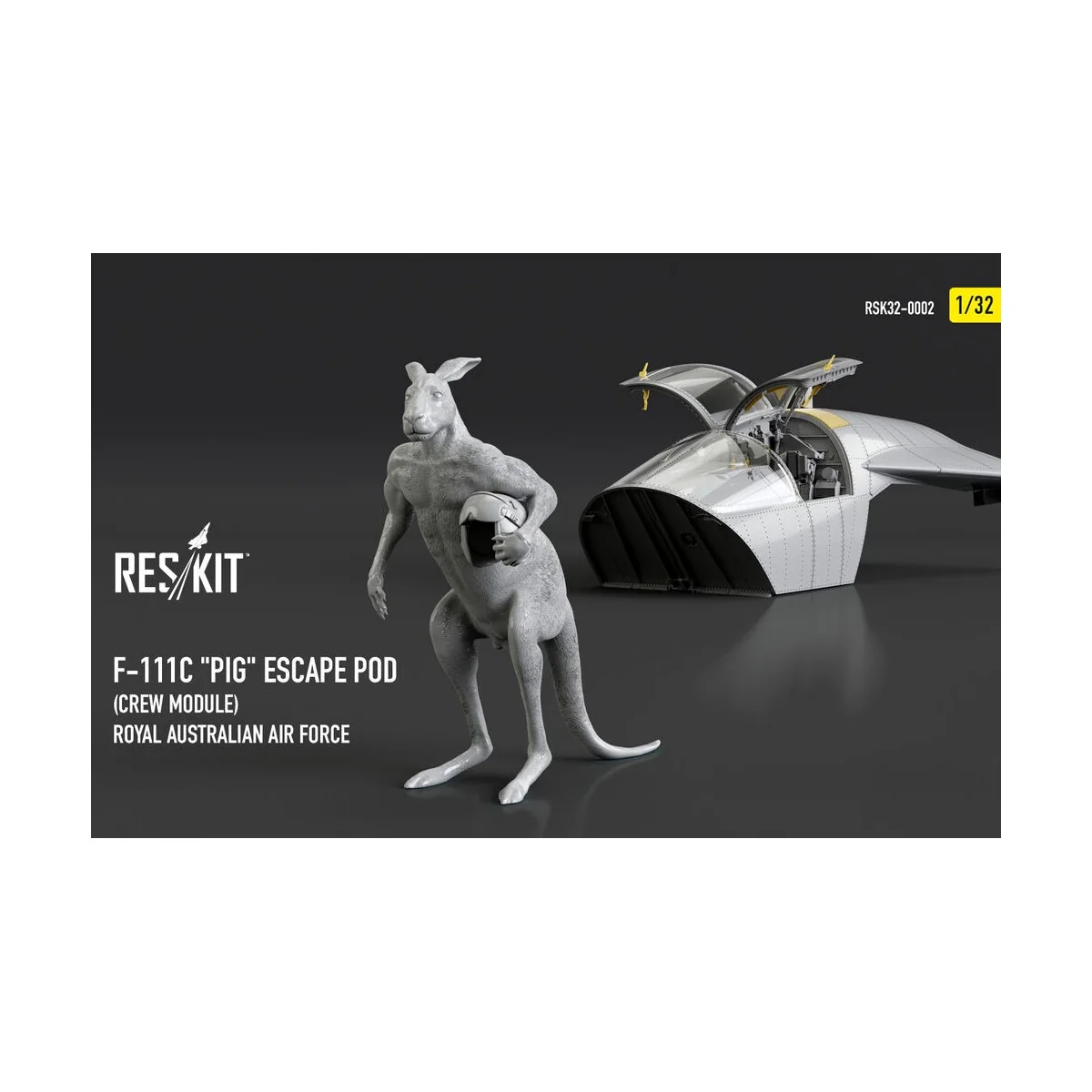 F-111? Pig Escape Pod (Crew Module) Royal Australian Air Force - re...