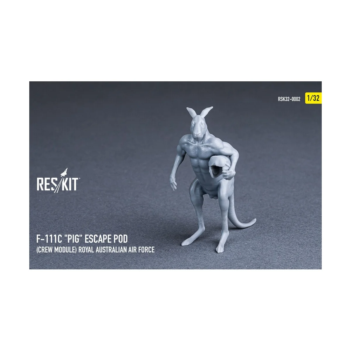 F-111? Pig Escape Pod (Crew Module) Royal Australian Air Force - re... F-111? Pig Escape Pod (Crew Module) Royal Australian Air Force - re...