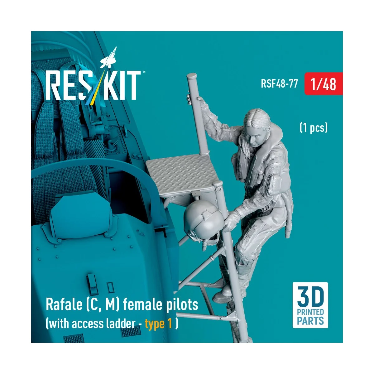 Rafale (C, M) female pilot (with access ladder - type 1) (1 pcs) (3...