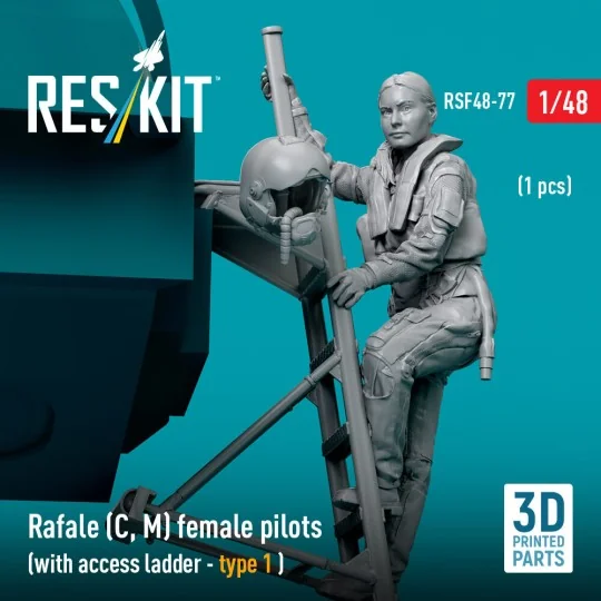 Rafale (C, M) female pilot (with access ladder - type 1) (1 pcs) (3...