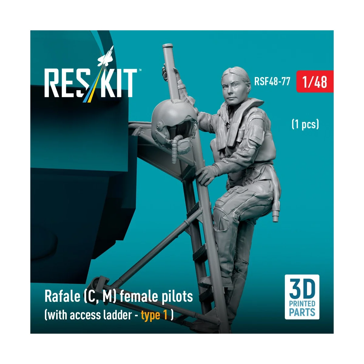 Rafale (C, M) female pilot (with access ladder - type 1) (1 pcs) (3...