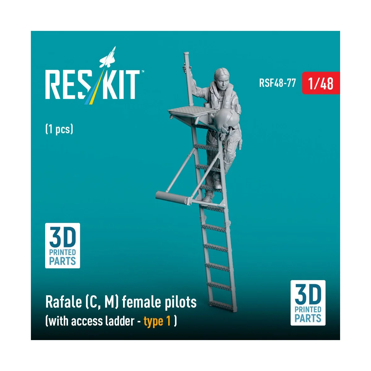 Rafale (C, M) female pilot (with access ladder - type 1) (1 pcs) (3...