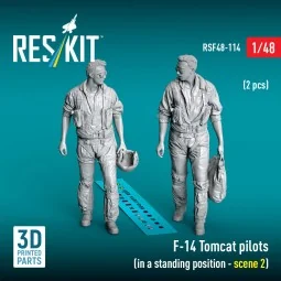 F-14 Tomcat pilots (in a standing position - scene 2) (2 pcs) (3D P...