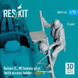 Rafale (C, M) female pilot (with access ladder - type 1) (1 pcs) (3...