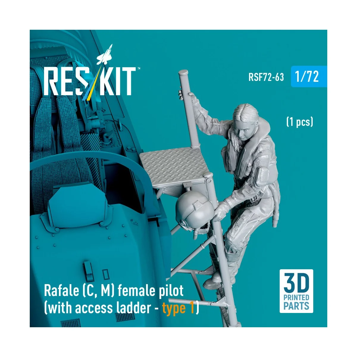 Rafale (C, M) female pilot (with access ladder - type 1) (1 pcs) (3...