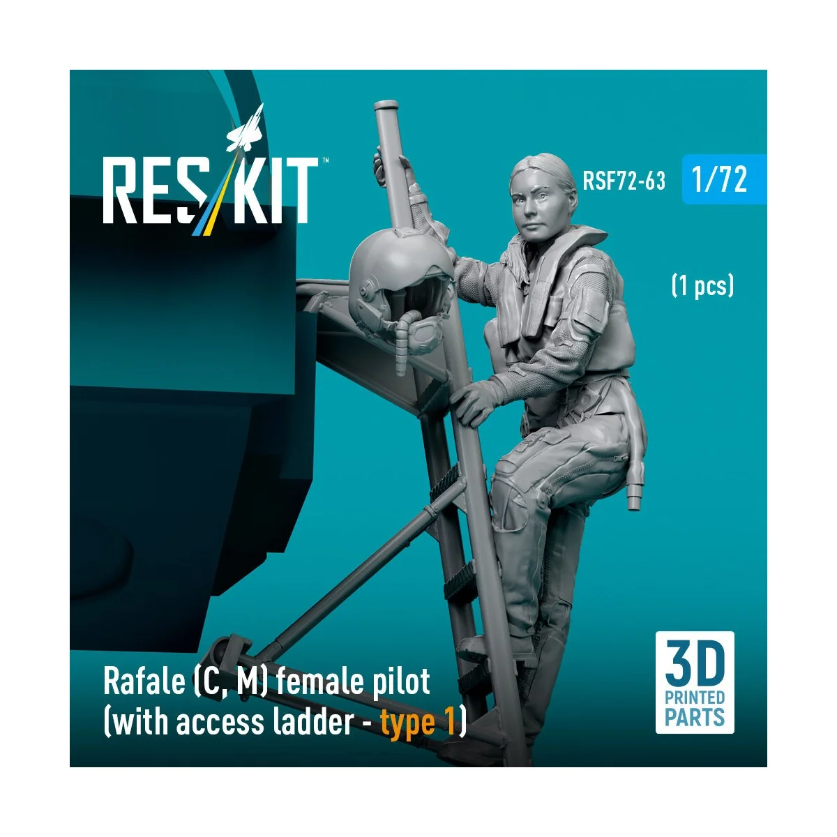 Rafale (C, M) female pilot (with access ladder - type 1) (1 pcs) (3...