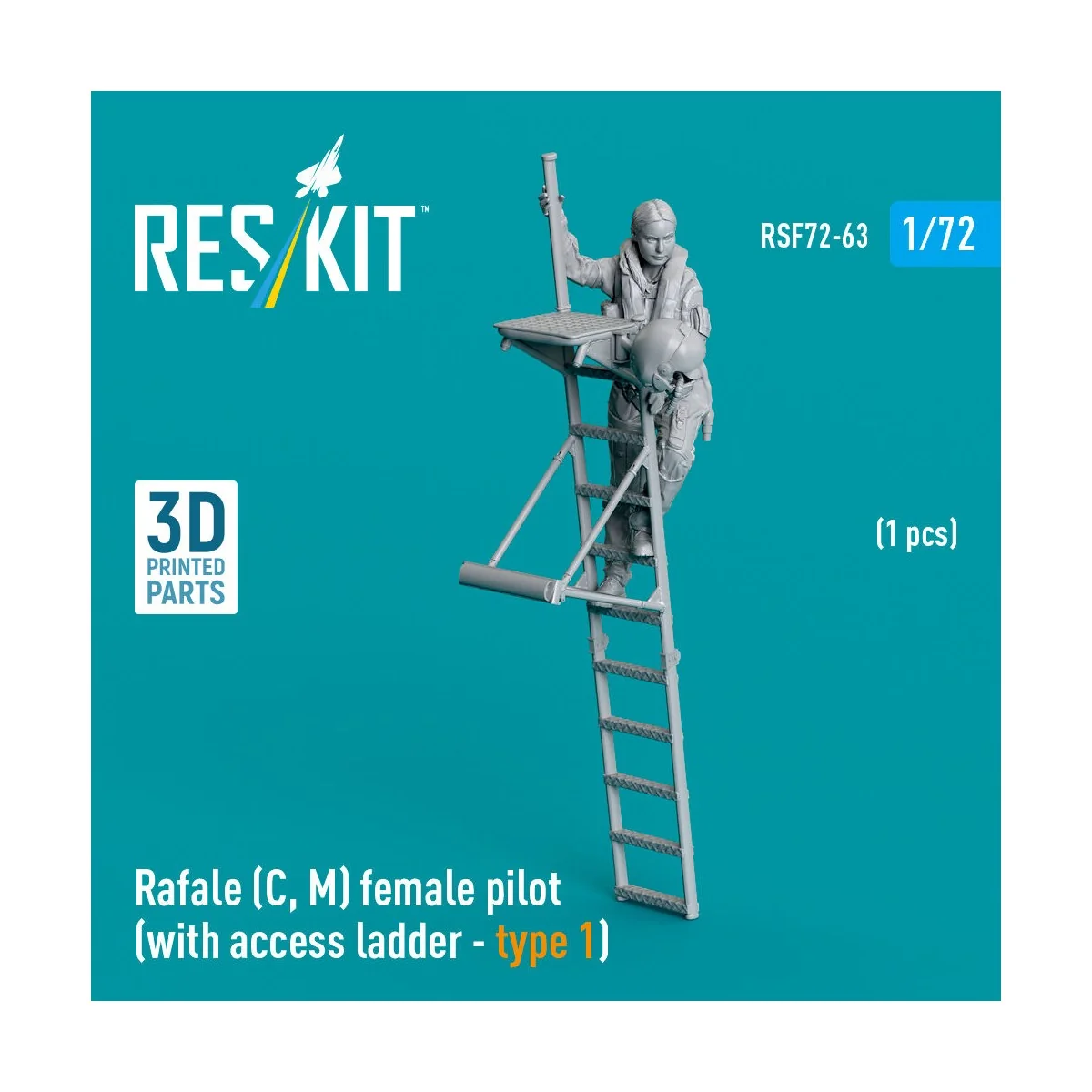 Rafale (C, M) female pilot (with access ladder - type 1) (1 pcs) (3...