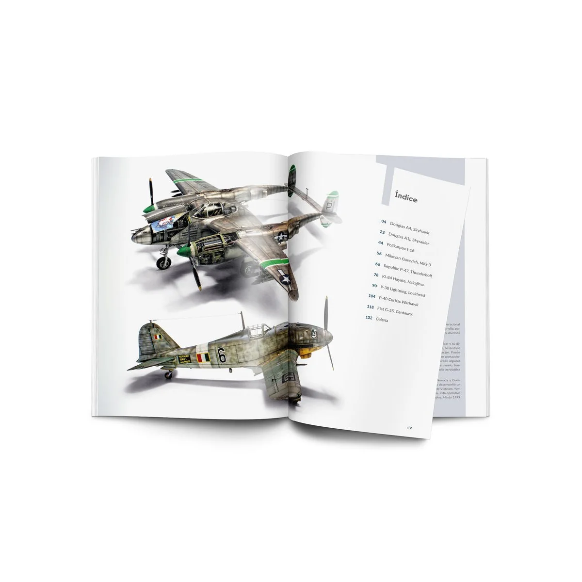 Weathering Effects on Aircraft Spanish - Vallejo 75057