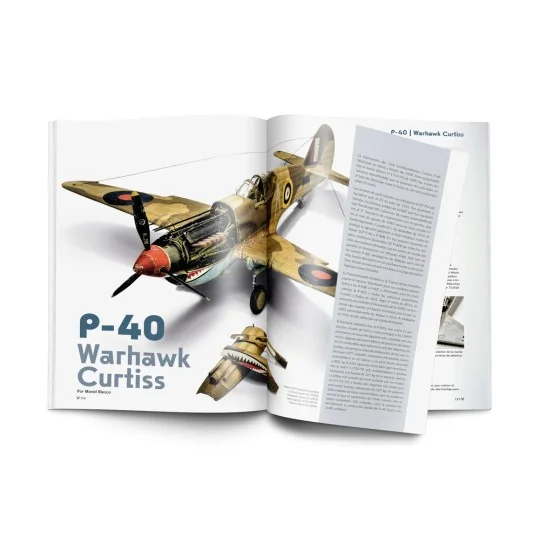 Weathering Effects on Aircraft Spanish - Vallejo 75057