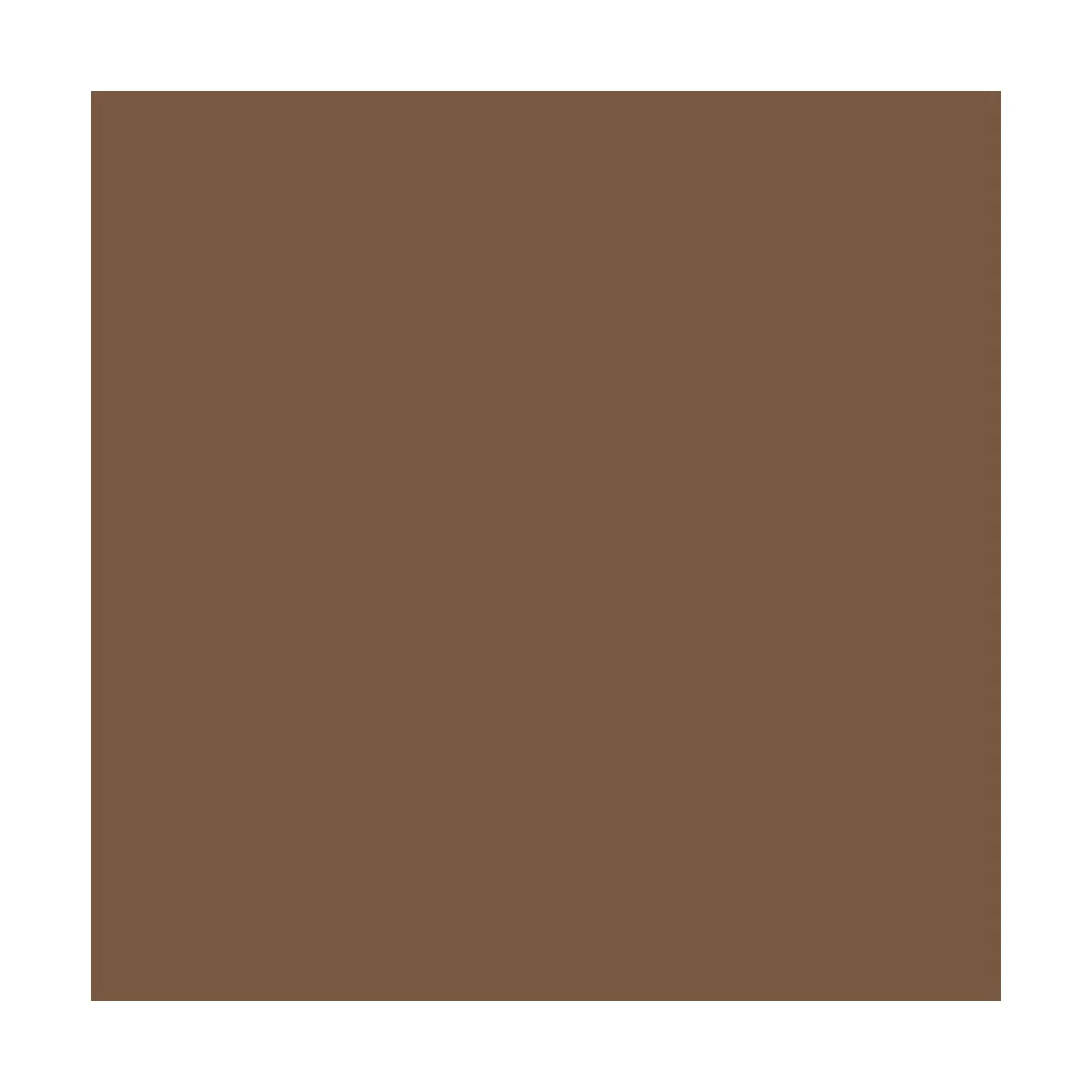 Fantasy Color Primer: Beasty Brown 400 ml - Vallejo 28019 Fantasy Color Primer: Beasty Brown 400 ml - Vallejo 28019
