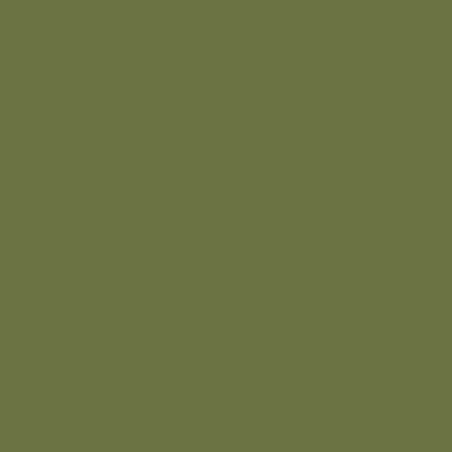 Fantasy Color Primer: Goblin Green 400 ml - Vallejo 28027